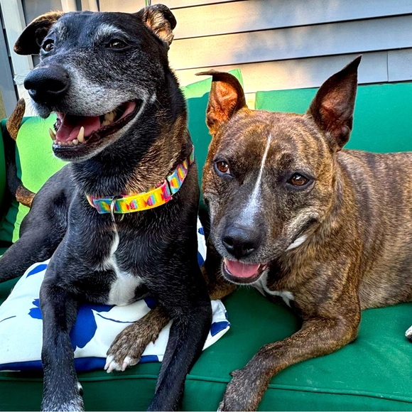 Meet your Posher, Jennifer - Picture 1 of 1